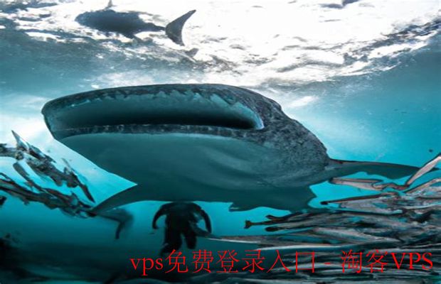 探索VPS免费登录入口的优化策略