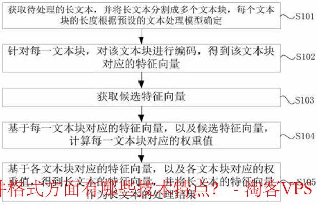 特定需求VPS技术特点详解-长文本与多文件格式处理